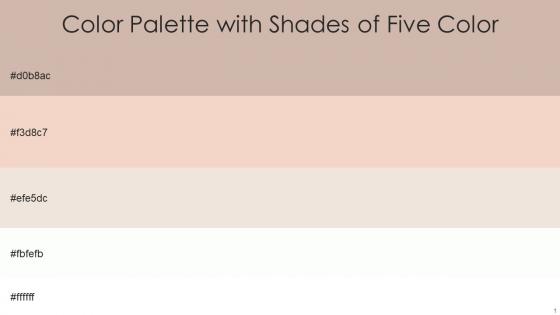 Color Palette With Five Shade Clam Shell Albescent White Dawn Pink Ottoman White
