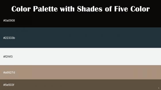 Color Palette With Five Shade Cod Gray Ebony Clay Black Haze Donkey Brown Kabul