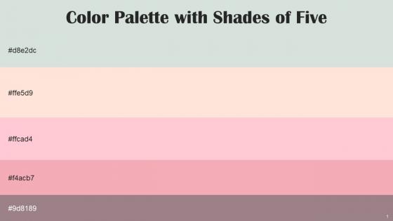 Color Palette With Five Shade Conch Karry Pastel Pink Wewak Mountbatten Pink