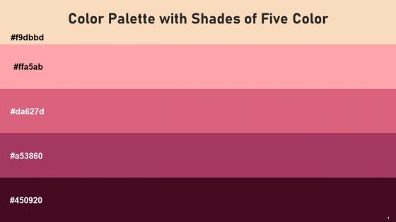 Color Palette With Five Shade Dairy Cream Cornflower Lilac Cranberry Night Shadz Cab Sav