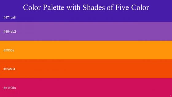 Color Palette With Five Shade Daisy Bush Studio West Side Trinidad Razzmatazz