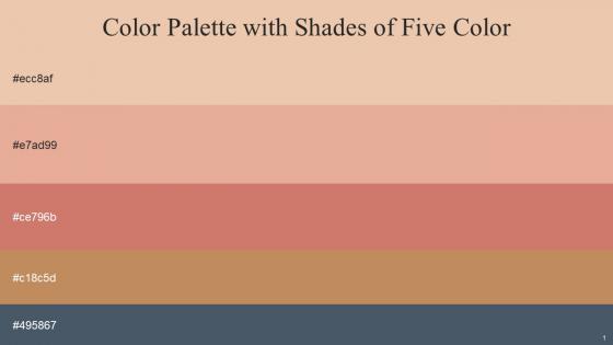 Color Palette With Five Shade Desert Sand Tonys Pink Contessa Twine River Bed