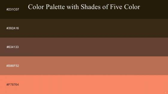 Color Palette With Five Shade Graphite Mikado Quincy Santa Fe Tan Hide