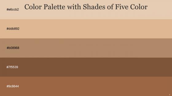 Color Palette With Five Shade Hampton Brandy Teak Ironstone Cape Palliser