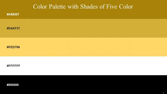 Color Palette With Five Shade Hot Toddy Old Gold Goldenrod White Black