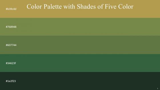 Color Palette With Five Shade Husk Dingley Dingley Killarney Green Kelp