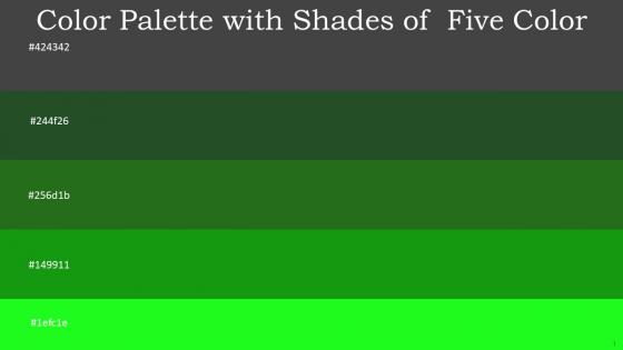 Color Palette With Five Shade Lunar Green Everglade Forest Green La Palma Green
