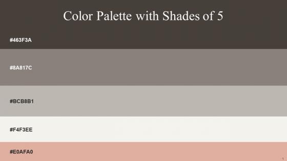 Color Palette With Five Shade Merlin Schooner Tide Pampas Cashmere