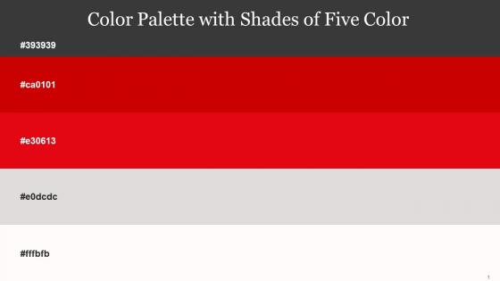 Color Palette With Five Shade Mine Shaft Guardsman Red Monza Bon Jour Rose White