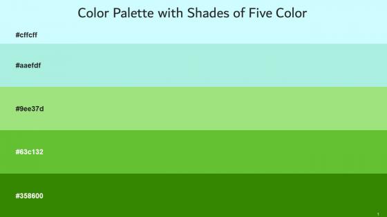 Color Palette With Five Shade Onahau Magic Mint Feijoa Apple Limeade