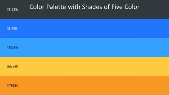 Color Palette With Five Shade Outer Space Dodger Blue Dodger Blue Bright Sun Sea Buckthorn
