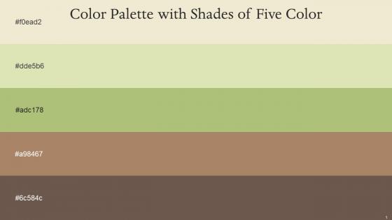 Color Palette With Five Shade Parchment Beryl Green Olivine Sandal Pine Cone