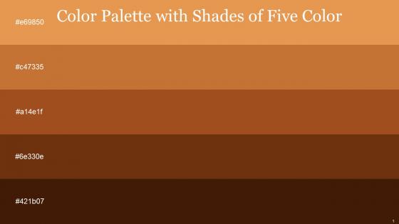 Color Palette With Five Shade Porsche Copper Cognac Cafe Royale Rebel