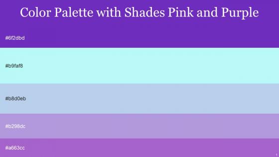 Color Palette With Five Shade Purple Heart Amethyst Cold Purple Spindle Charlotte