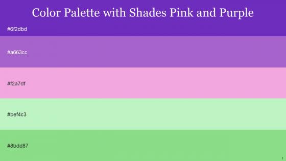 Color Palette With Five Shade Purple Heart Amethyst Illusion Madang Feijoa
