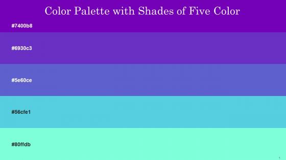 Color Palette With Five Shade Purple Purple Heart Indigo Viking Aquamarine