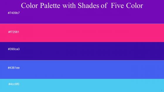 Color Palette With Five Shade Purple Violet Red Blue Gem Royal Blue Picton Blue