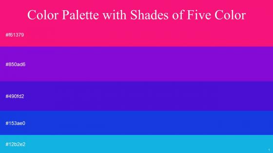 Color Palette With Five Shade Rose Electric Violet Persian Blue Persian Blue Cerulean