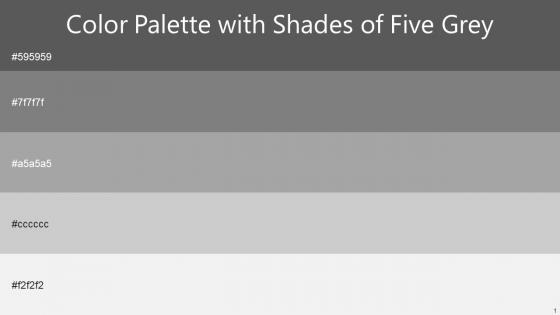 Color Palette With Five Shade Scorpion Gray Silver Chalice Silver Concrete