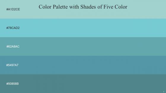 Color Palette With Five Shade Sinbad Downy Tradewind Hippie Blue Smalt Blue