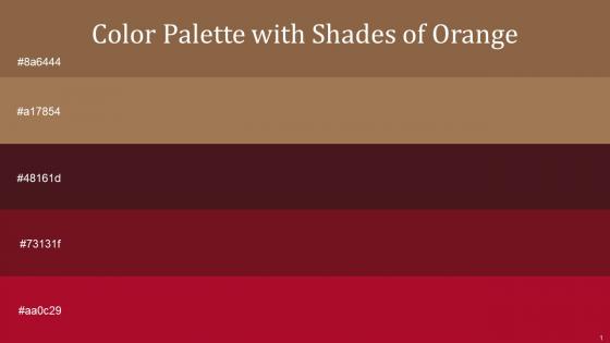 Color Palette With Five Shade Spicy Mix Barley Corn Cedar Moccaccino Shiraz