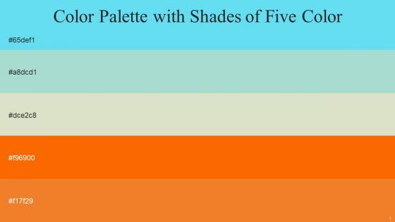 Color Palette With Five Shade Spray Aqua Island Tana Blaze Orange Tango