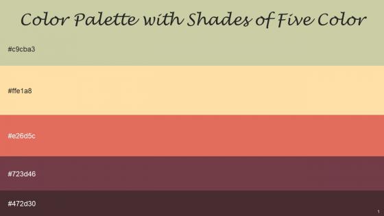 Color Palette With Five Shade Thistle Green Navajo White Terracotta Cosmic Woody Brown