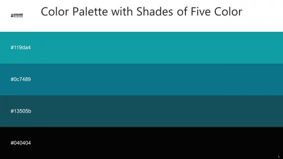 Color Palette With Five Shade White Blue Chill Surfie Green Eden Black