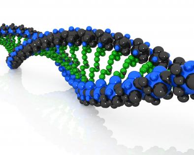 Colored dna structure of humans stock photo