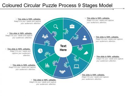 Coloured circular puzzle process 9 stages model