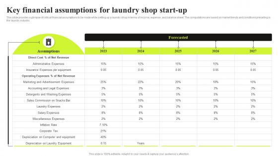 Commercial Laundry Business Plan Key Financial Assumptions For Laundry Shop Start Up BP SS