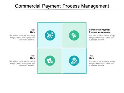 Commercial payment process management ppt powerpoint presentation introduction cpb
