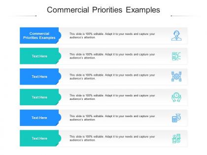 Commercial priorities examples ppt powerpoint presentation slides summary cpb