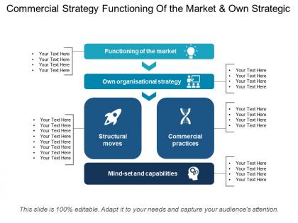 Commercial strategy functioning of the market and own strategic