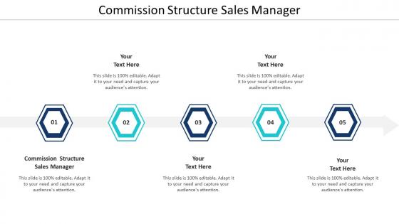 Commission Structure Sales Manager Ppt Powerpoint Presentation Professional Format Cpb