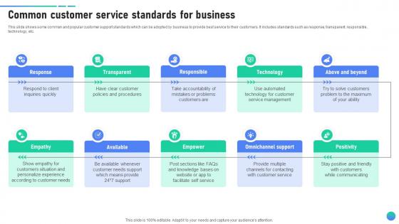 Common Customer Service Standards For Business Client Assistance Plan To Solve Issues Strategy SS V