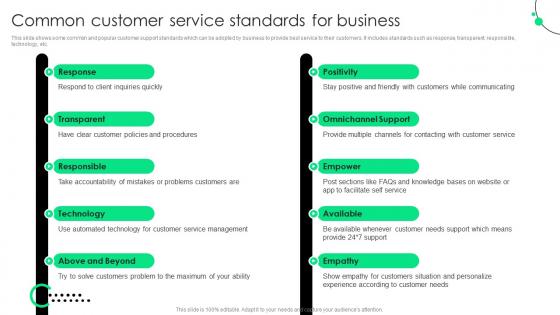 Common Customer Service Standards For Business Service Strategy Guide To Enhance Strategy SS
