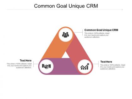 Common goal unique crm ppt powerpoint presentation professional graphics cpb