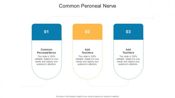 Common Peroneal Nerve In Powerpoint And Google Slides Cpb