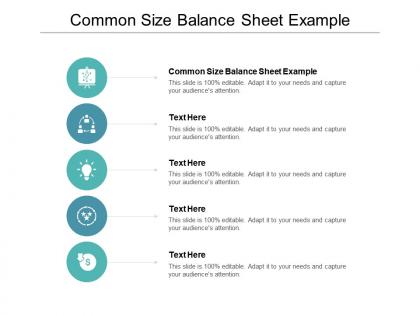 Common size balance sheet example ppt powerpoint presentation model topics cpb