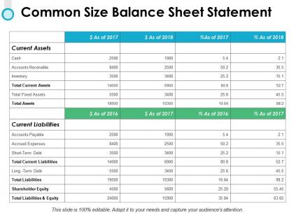 Common size balance sheet statement fixed assets ppt powerpoint slides