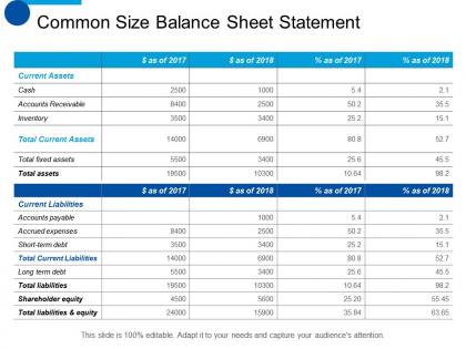 Common size balance sheet statement shareholder equity ppt summary show