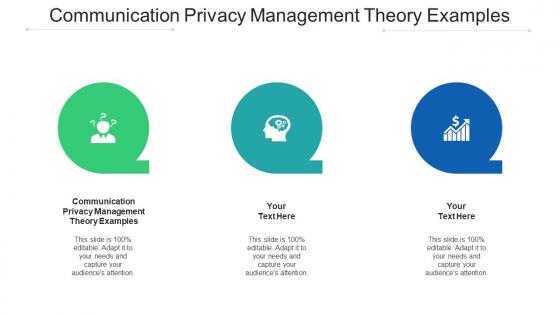 Communication Privacy Management Theory Examples Ppt Powerpoint Presentation Styles Template Cpb