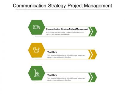 Communication strategy project management ppt powerpoint presentation layouts samples cpb