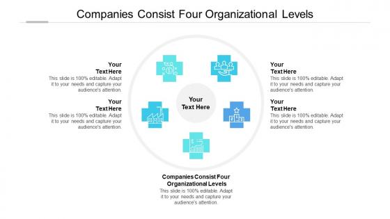 Companies consist four organizational levels ppt powerpoint presentation outline demonstration cpb