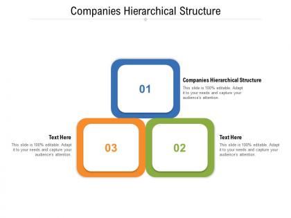 Companies hierarchical structure ppt powerpoint presentation slides visual aids cpb