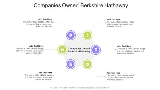 Companies Owned Berkshire Hathaway In Powerpoint And Google Slides Cpb