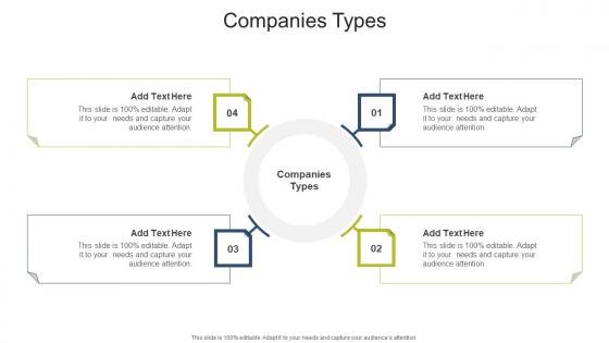 Companies Types In Powerpoint And Google Slides Cpb
