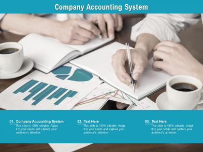 Company accounting system ppt powerpoint presentation gallery brochure cpb