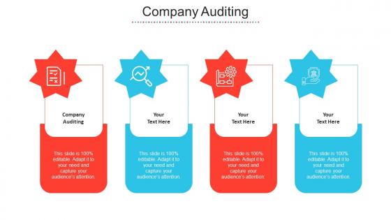 Company Auditing Ppt Powerpoint Presentation Summary Slide Download Cpb
